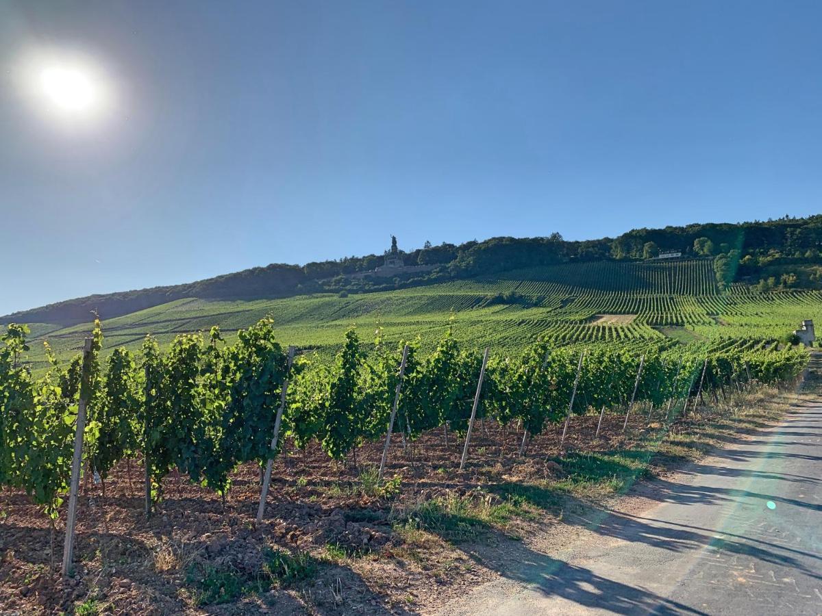 Appartamento Fewo Zur Goldenen Traube Rüdesheim am Rhein Esterno foto