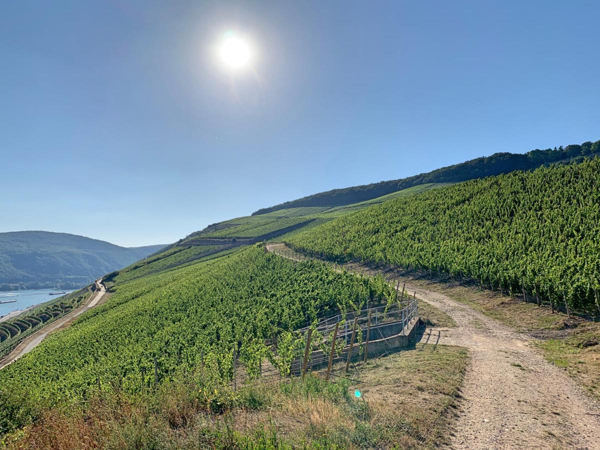 Appartamento Fewo Zur Goldenen Traube Rüdesheim am Rhein Esterno foto