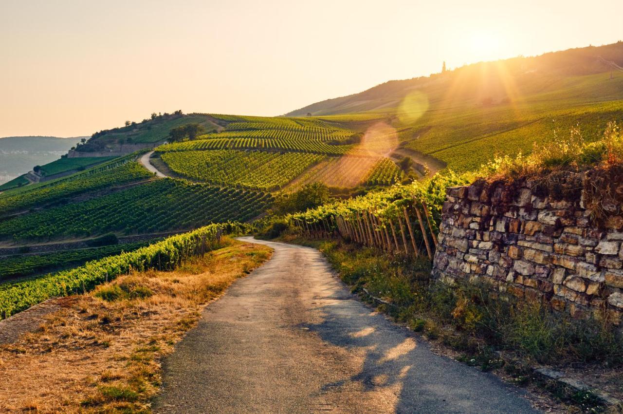 Appartamento Fewo Zur Goldenen Traube Rüdesheim am Rhein Esterno foto